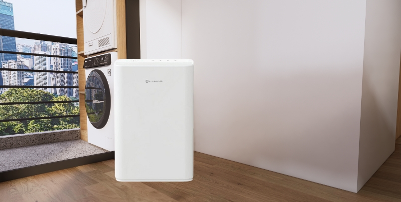 Máy hút ẩm Lumias D6E-12L