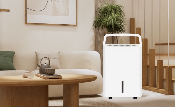 Máy hút ẩm Lumias D6S-20L 