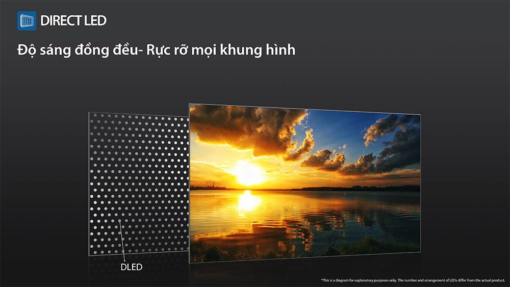 43E31RP cho màu sắc rực rỡ 43E31RP