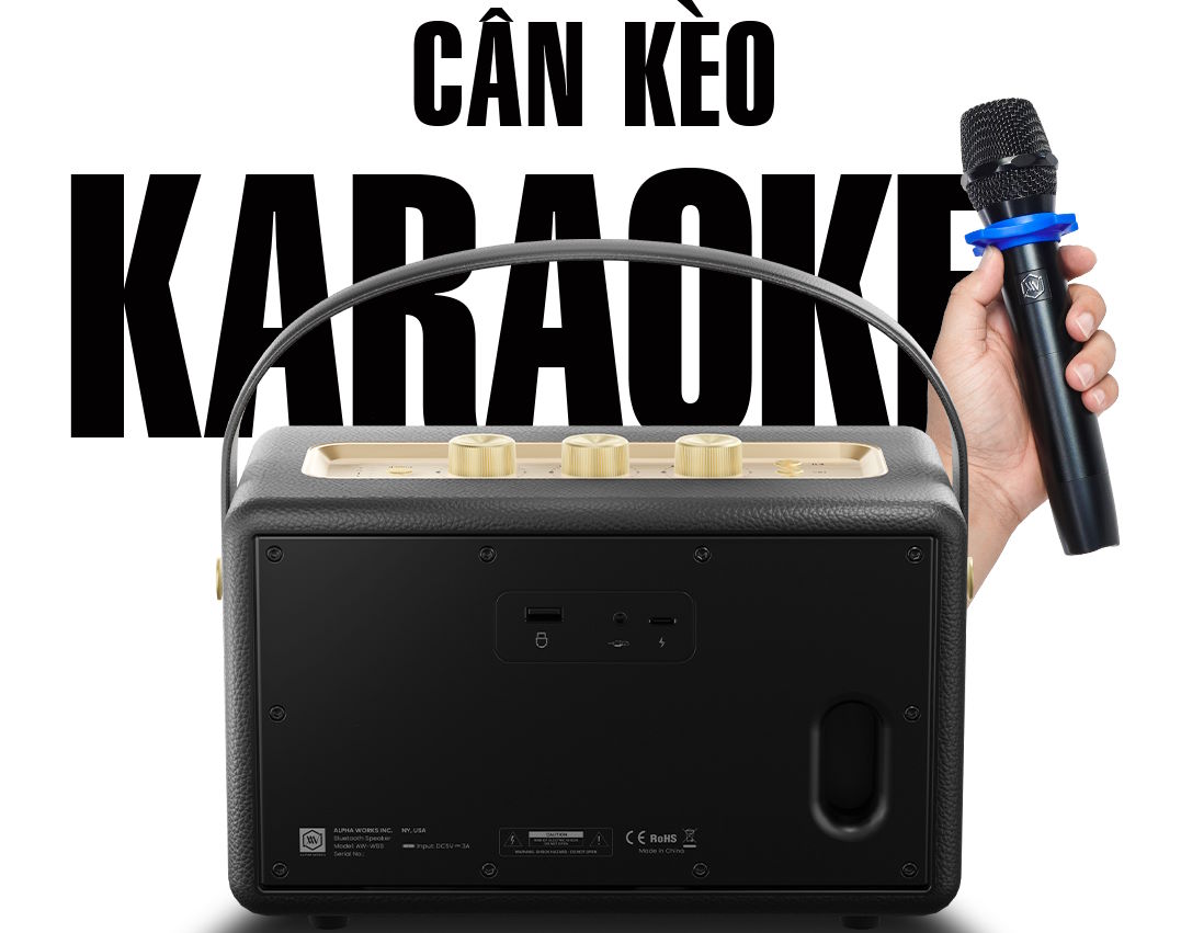 Kết nối đa dạng, hát Karaoke thoải mái Loa Bluetooth Alpha Works