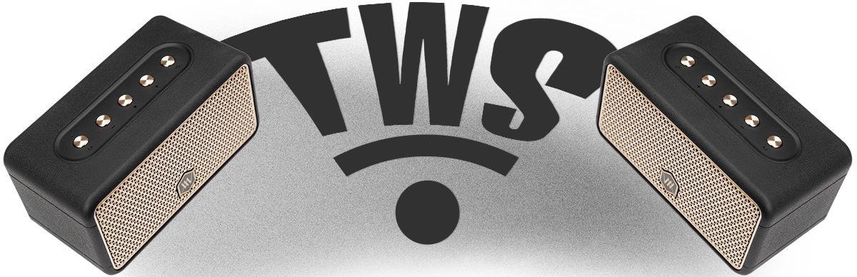 True Wireless Stereo (TWS) – Khuấy động mọi bữa tiệc Loa Bluetooth Alpha Works