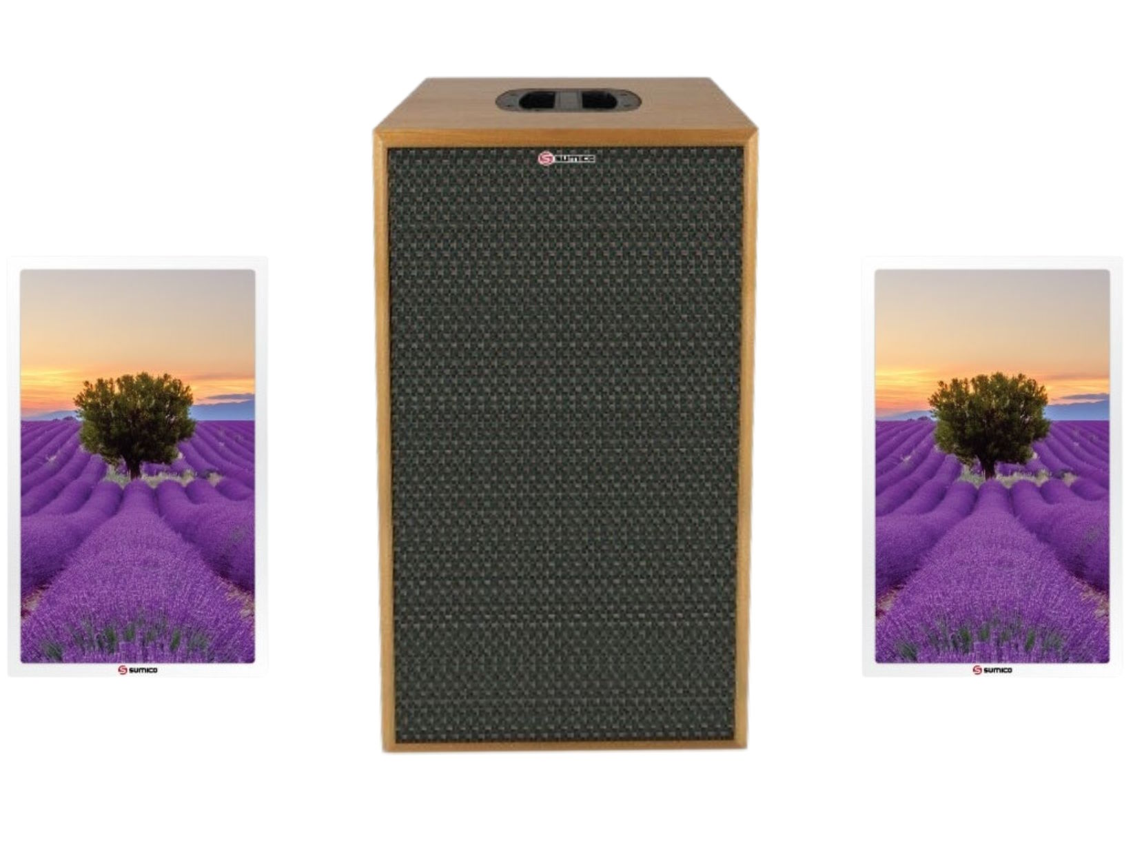 Loa tranh Sumico Canvas 1008