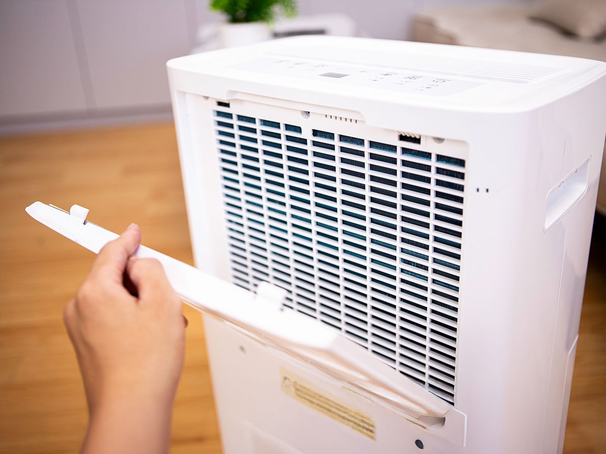 Máy hút ẩm D6S-60L 