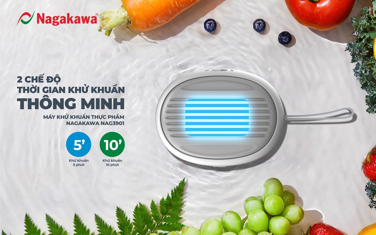 Máy khử khuẩn thực phẩm cầm tay  