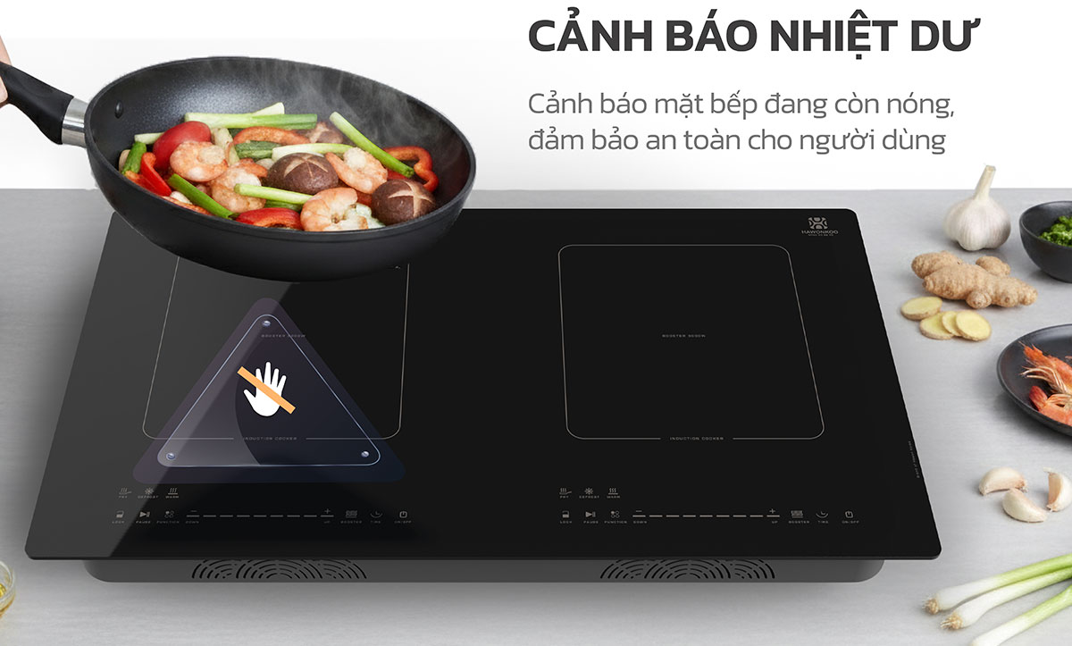 Bếp từ đôi inverter  