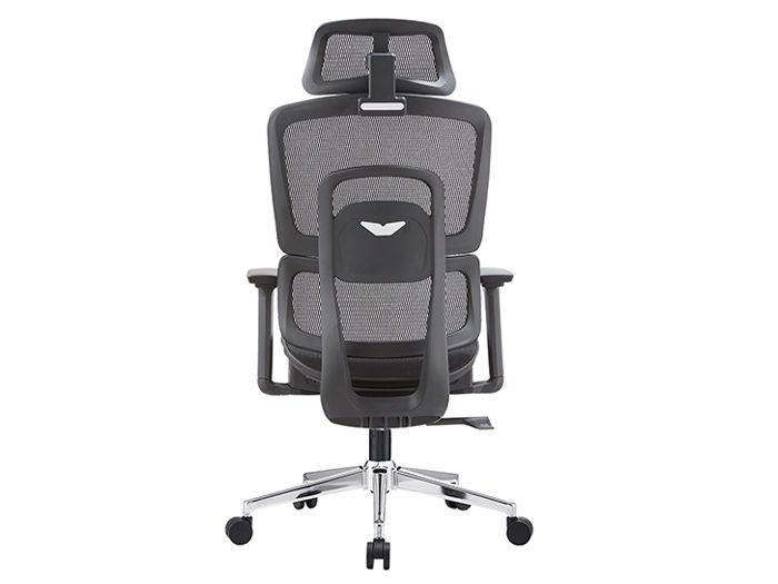 Ghế công thái học E-DRA EEC220