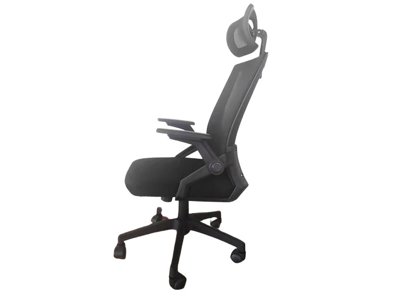 Ghế công thái học E-DRA điều chỉnh được chiều cao Ghế công thái học E-DRA