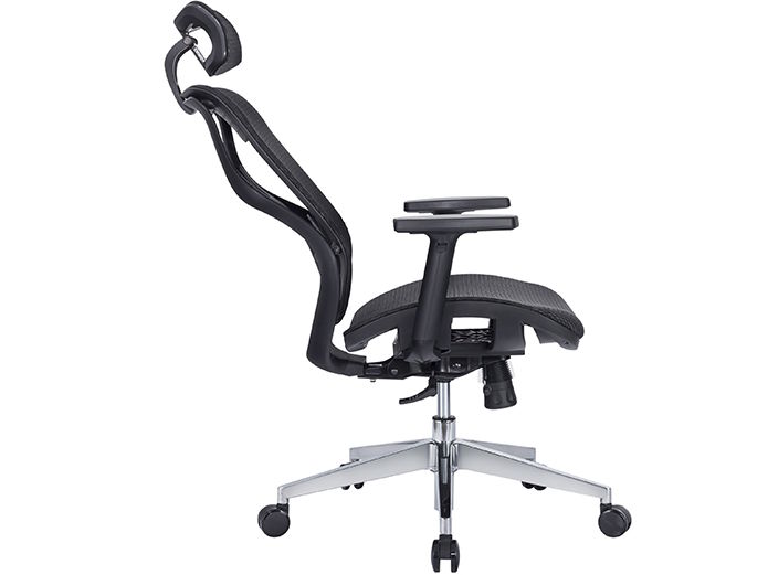 Ghế công thái học  