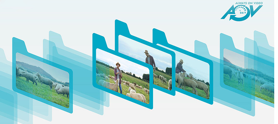 Camera 4G dùng cho vùng không có wifi Camera 4G