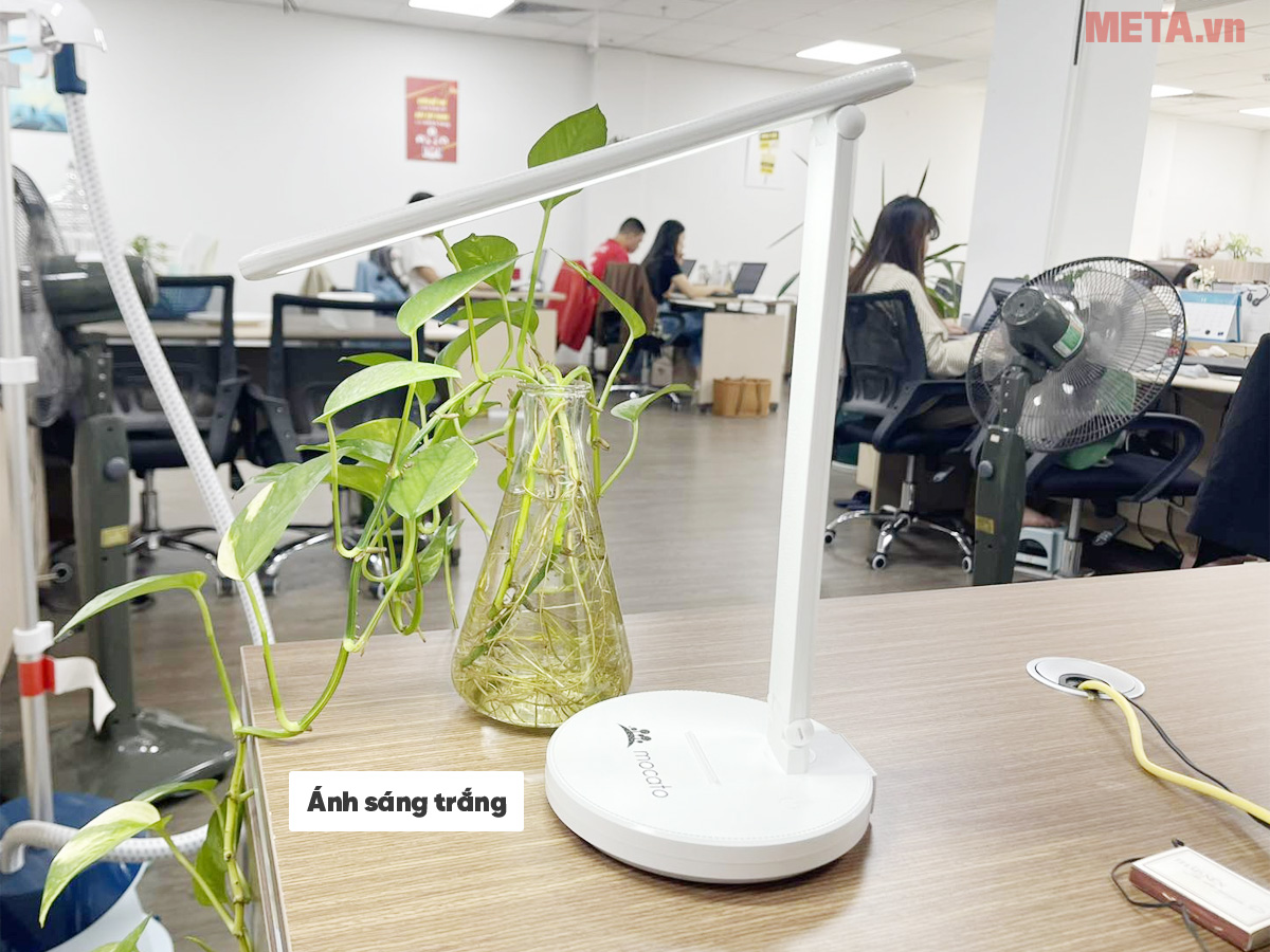 Đèn học chống cận Mocato Light M204