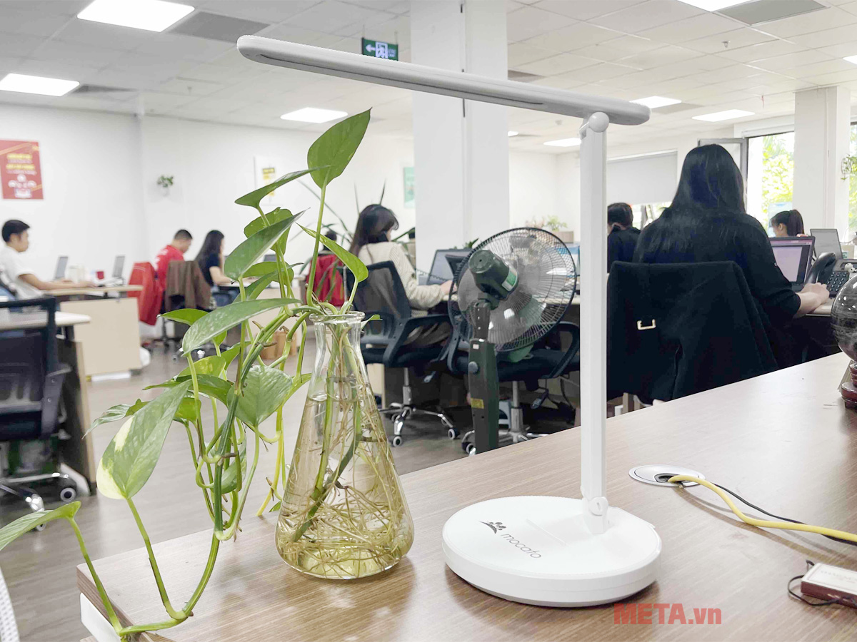 Hình ảnh thực tế đèn học Mocato Light M204 Mocato Light M204