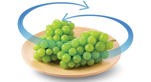 Tủ lạnh Hitachi Inverter HRSN9552DGBVN