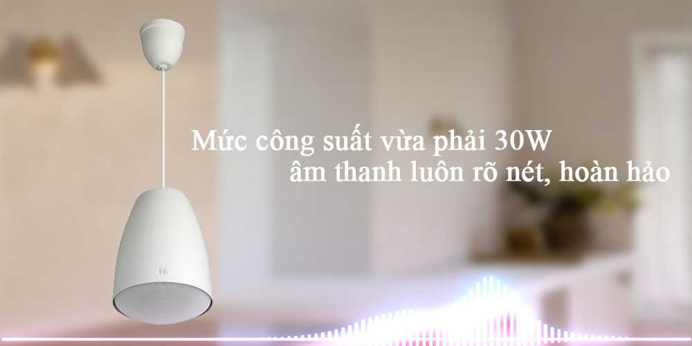 Công suất mạnh mẽ, âm thanh rõ nét Loa treo trần TOA PE-304