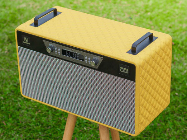 Loa karaoke xách tay 