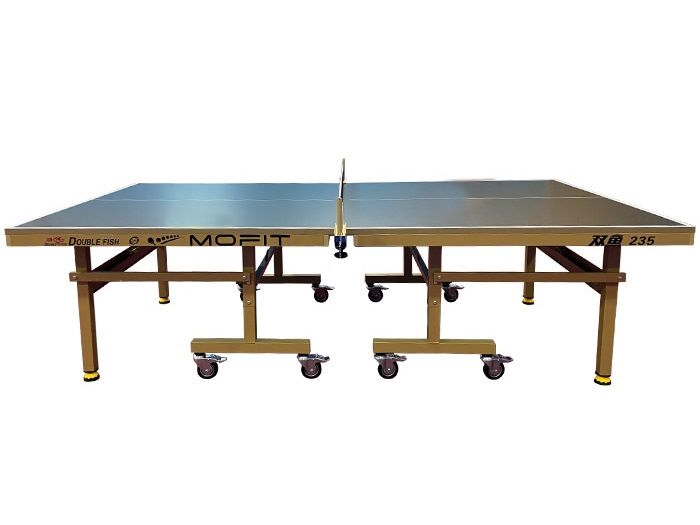 Bàn bóng bàn Double Fish 235G