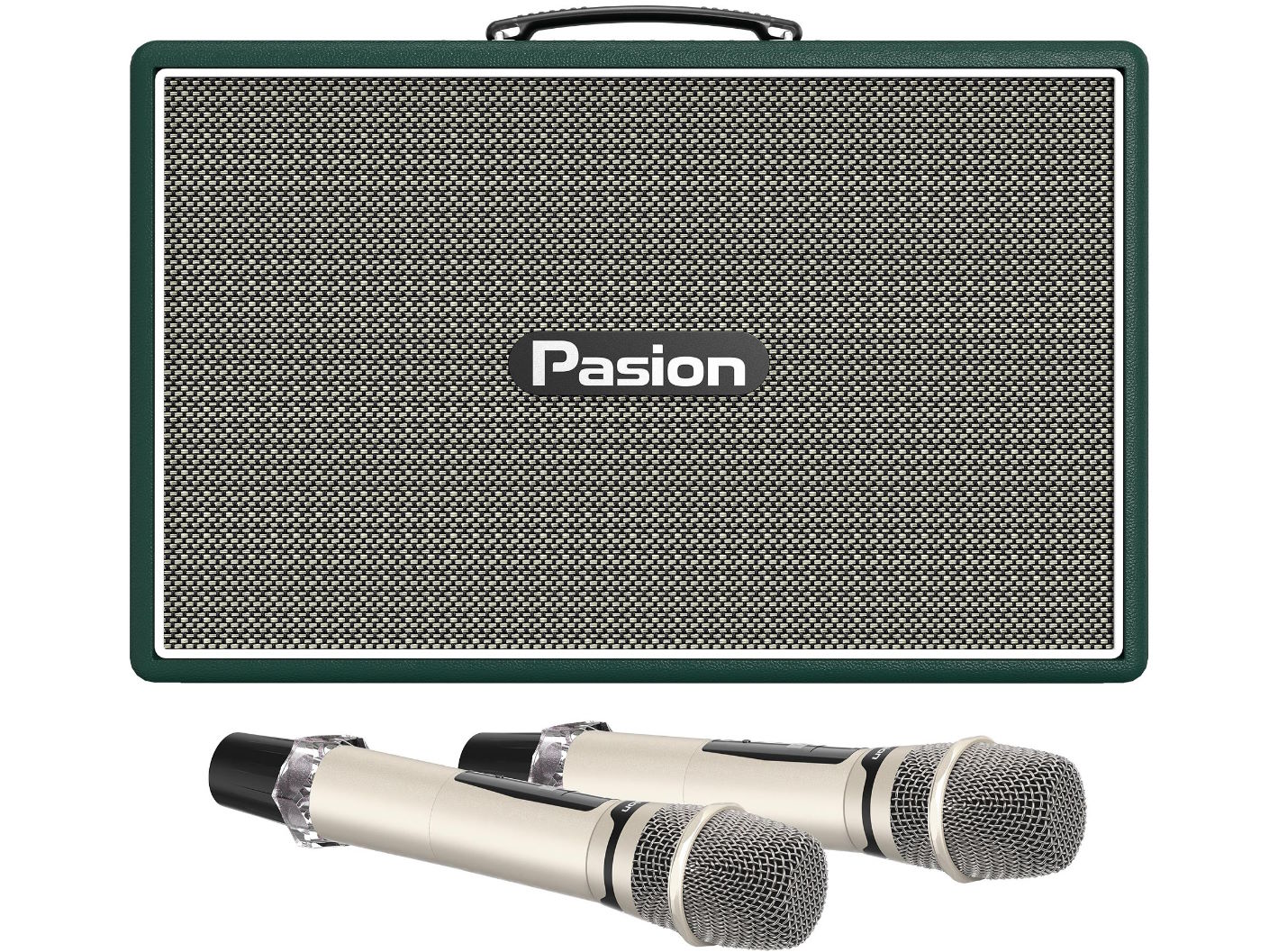 Loa Paramax Pasion Outro (New 2025, 300W, Kèm 2 Micro)