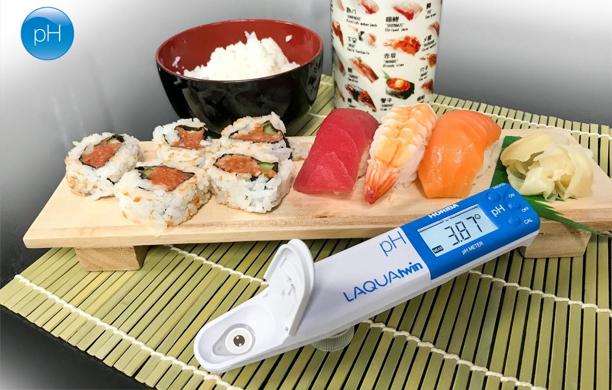 Tiêu chuẩn chống nước và pin lâu dài Horiba PH-11