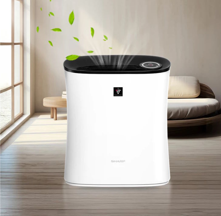 Thiết kế nhỏ gọn, hiện đại Máy lọc không khí Sharp FP-FE33V-B