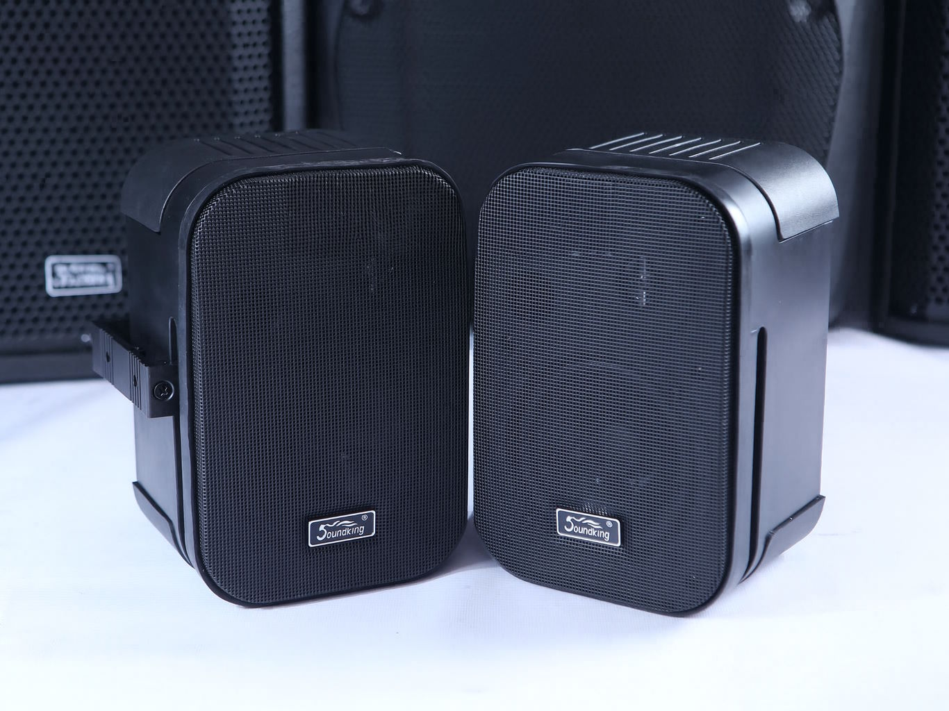 Thiết kế nhỏ gọn, dễ bố trí Loa hộp Soundking Control 252