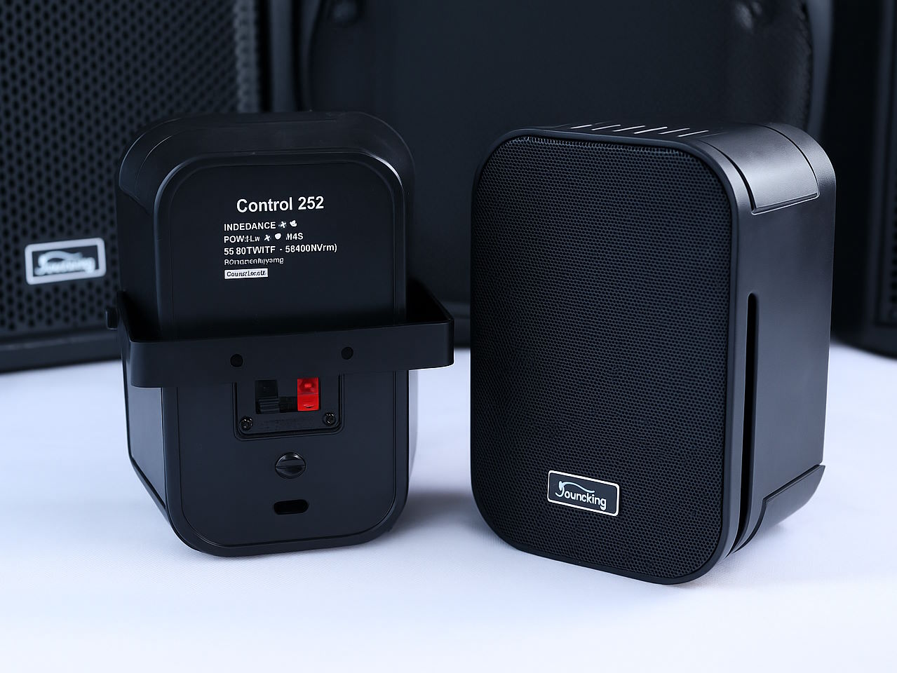 Hiệu suất âm thanh vượt trội Loa Soundking Control 252