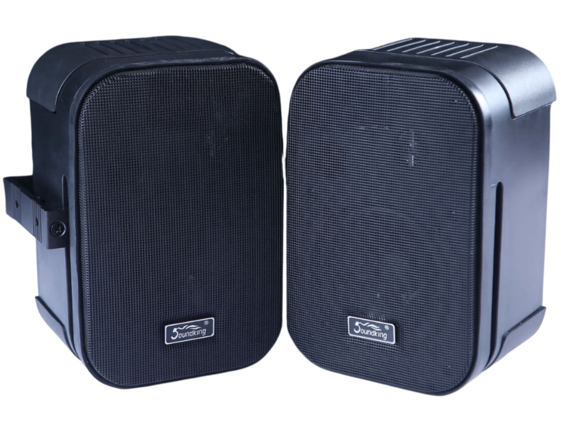 Loa hộp Soundking Control 252