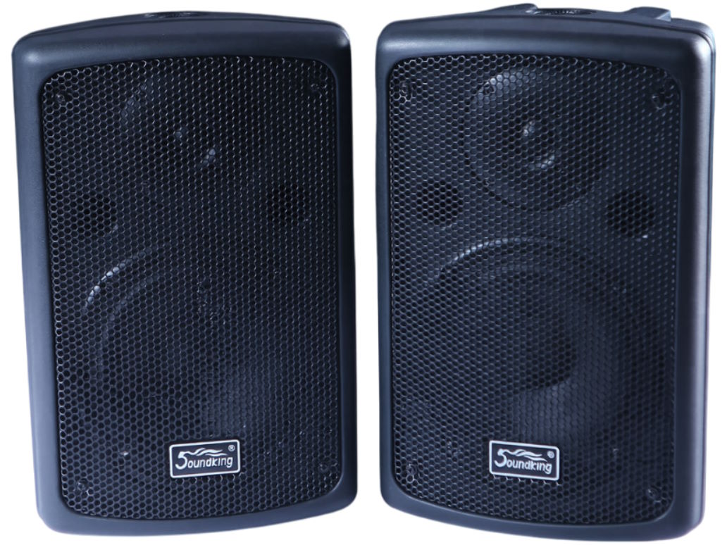 Loa hộp SoundKing Control 282