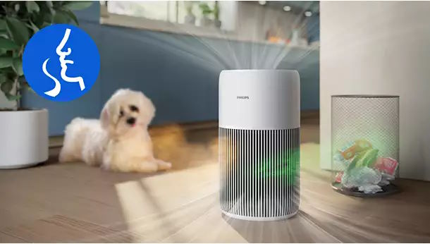 Bảo vệ sức khỏe toàn diện cho người dị ứng Máy lọc không khí Philips