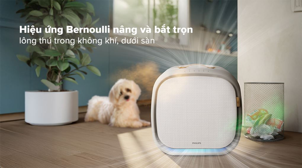 Hút sạch lông thú cưng vượt trội nhờ hiệu ứng Bernoulli Máy lọc không khí Philips AC3360/11