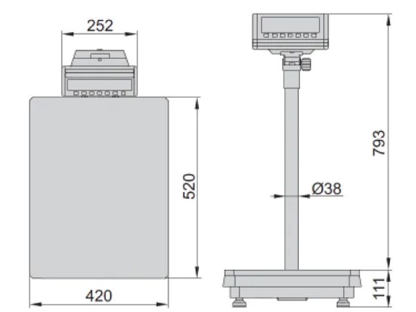 Cân sàn điện tử Insize  