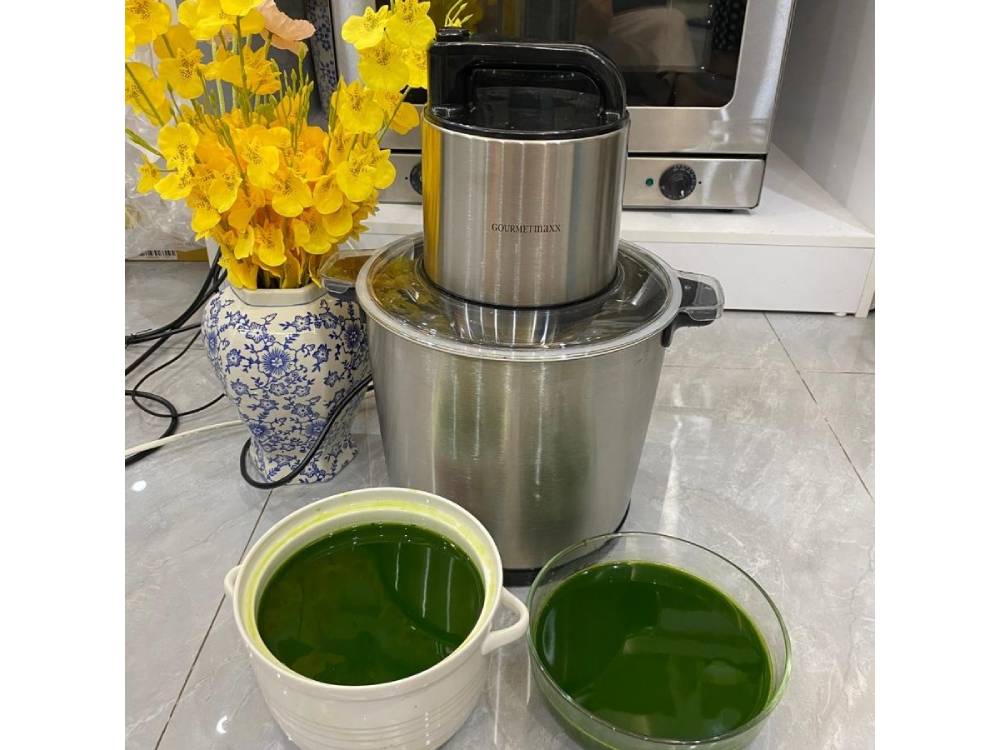 Máy xay rau củ có 2 mức tốc độ Máy xay thịt 12L