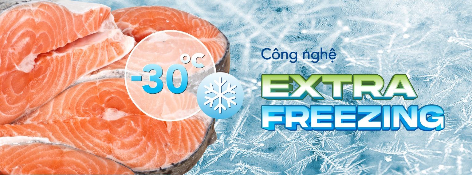 Công nghệ Extra Freezing – Đông sâu vượt trội tới -30°C Tủ đông Hòa Phát HPF BD6240