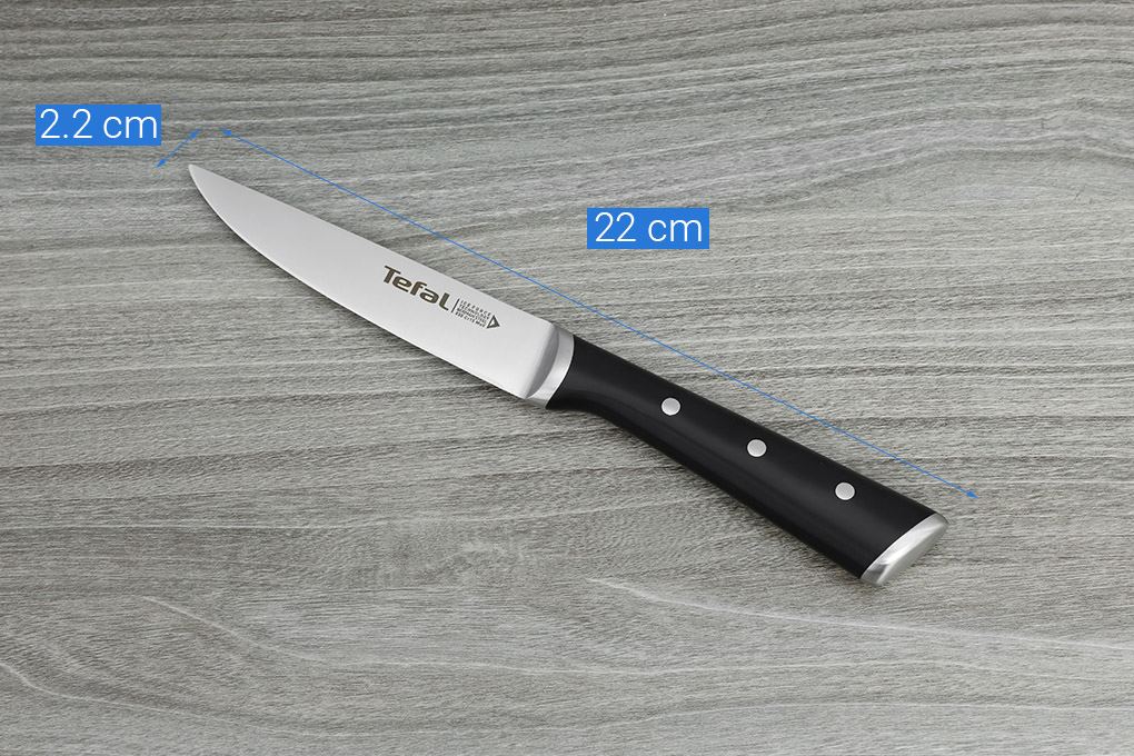bộ dao inox Tefal 