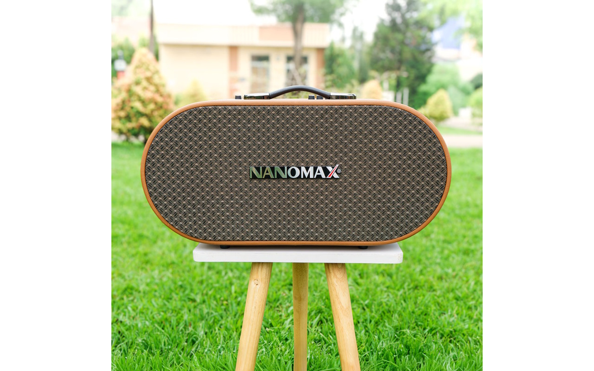 Loa karaoke xách tay  