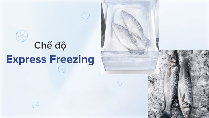 Sharp SJ-FXP510VG-CH