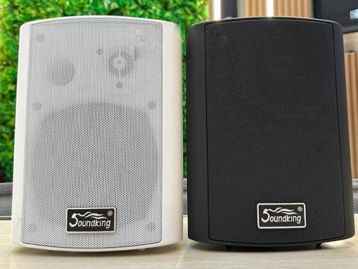 Loa hộp treo tường Soundking SX35W/B