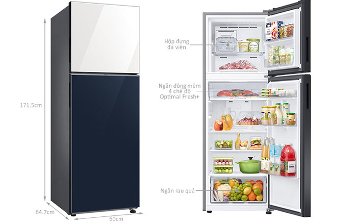 Cấu tạo của tủ lạnh Samsung Inverter RT31CB56248ASV