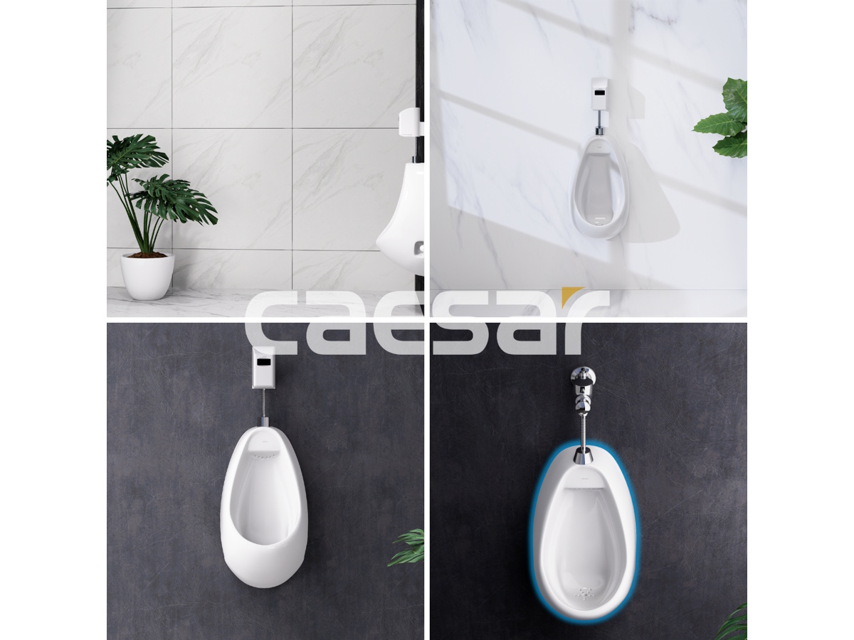 Bồn tiểu nam Caesar  