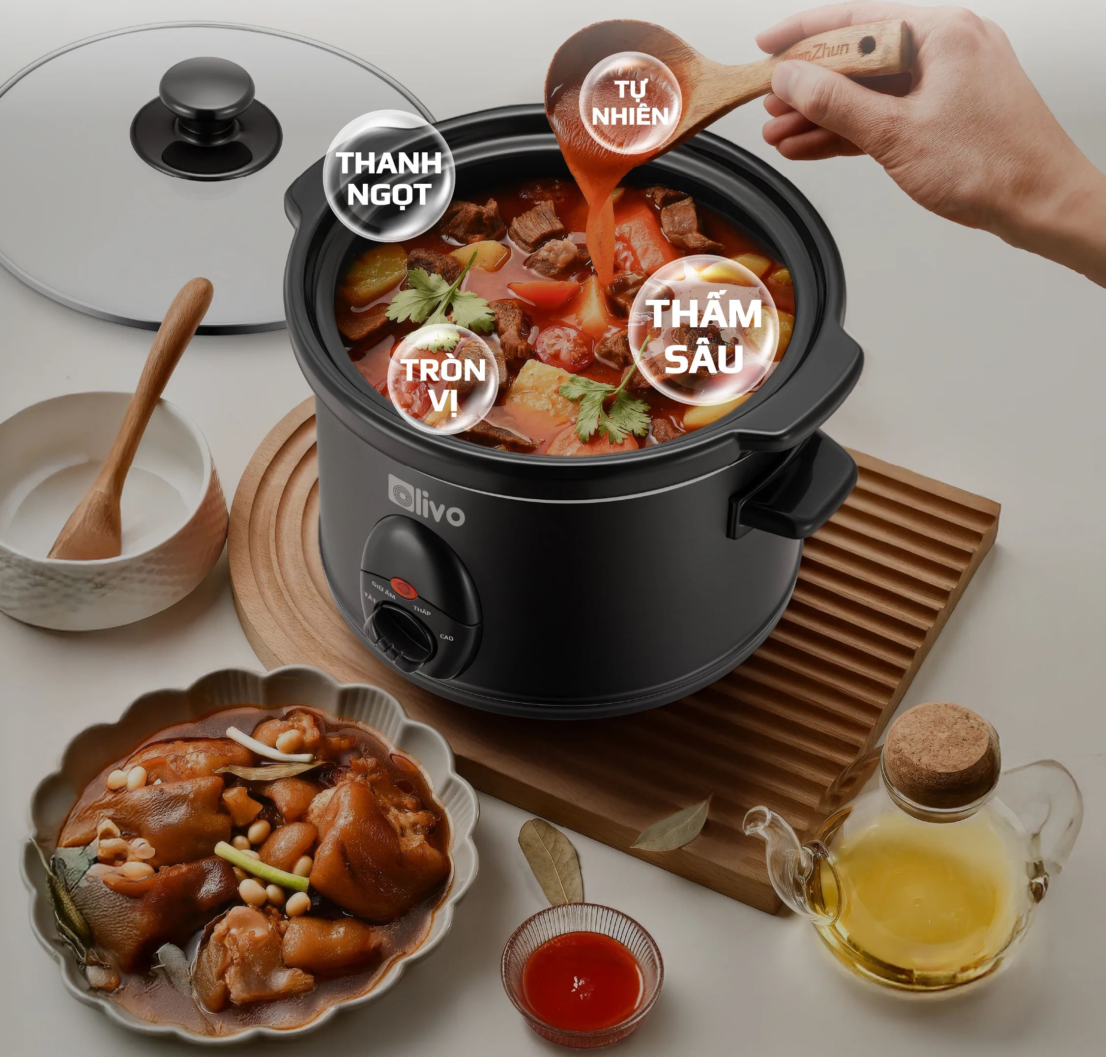 Nồi nấu chậm Olivo SC25