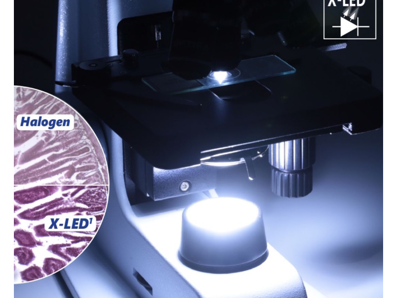 Kính hiển vi có đèn Led chiếu sáng Kính hiển vi
