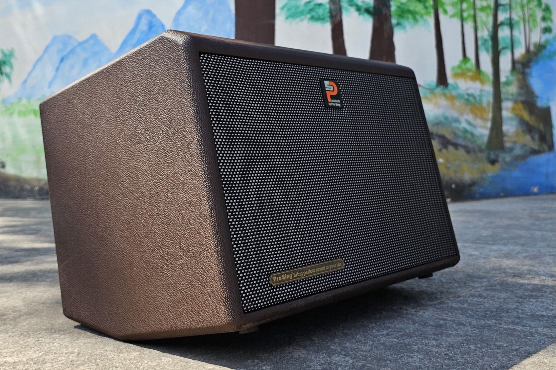 Thùng loa xách tay Prosing làm từ gỗ Loa xách tay Prosing