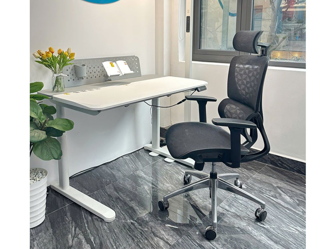 Ghế công thái học BC-102V1