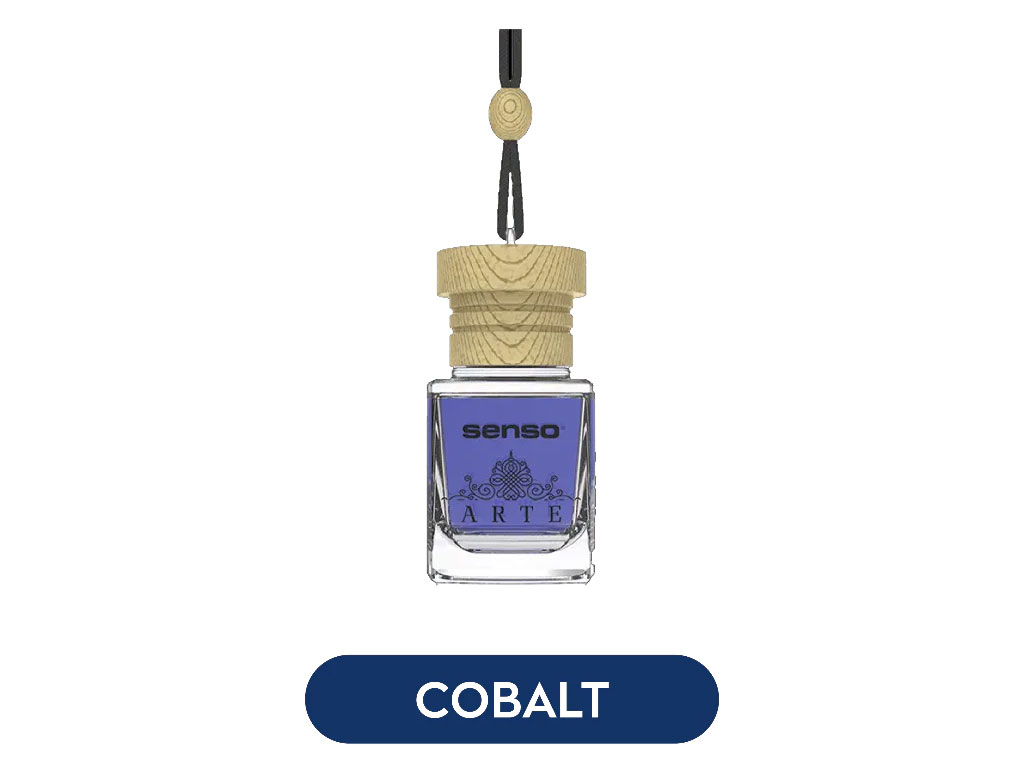 Tinh dầu treo phòng và xe Silver 6ml Dr Marcus