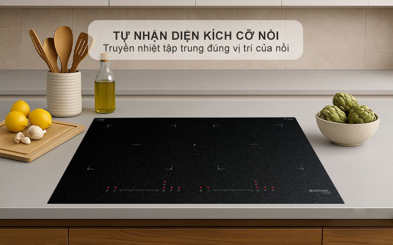 Bếp từ âm Kocher