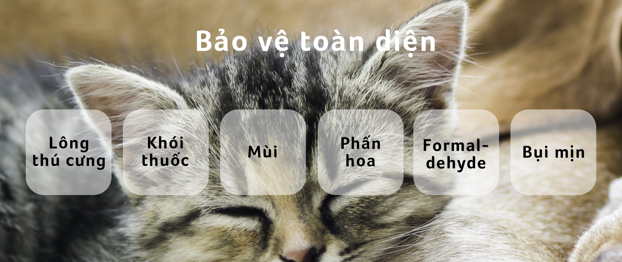 Lõi lọc không khí Acerpure