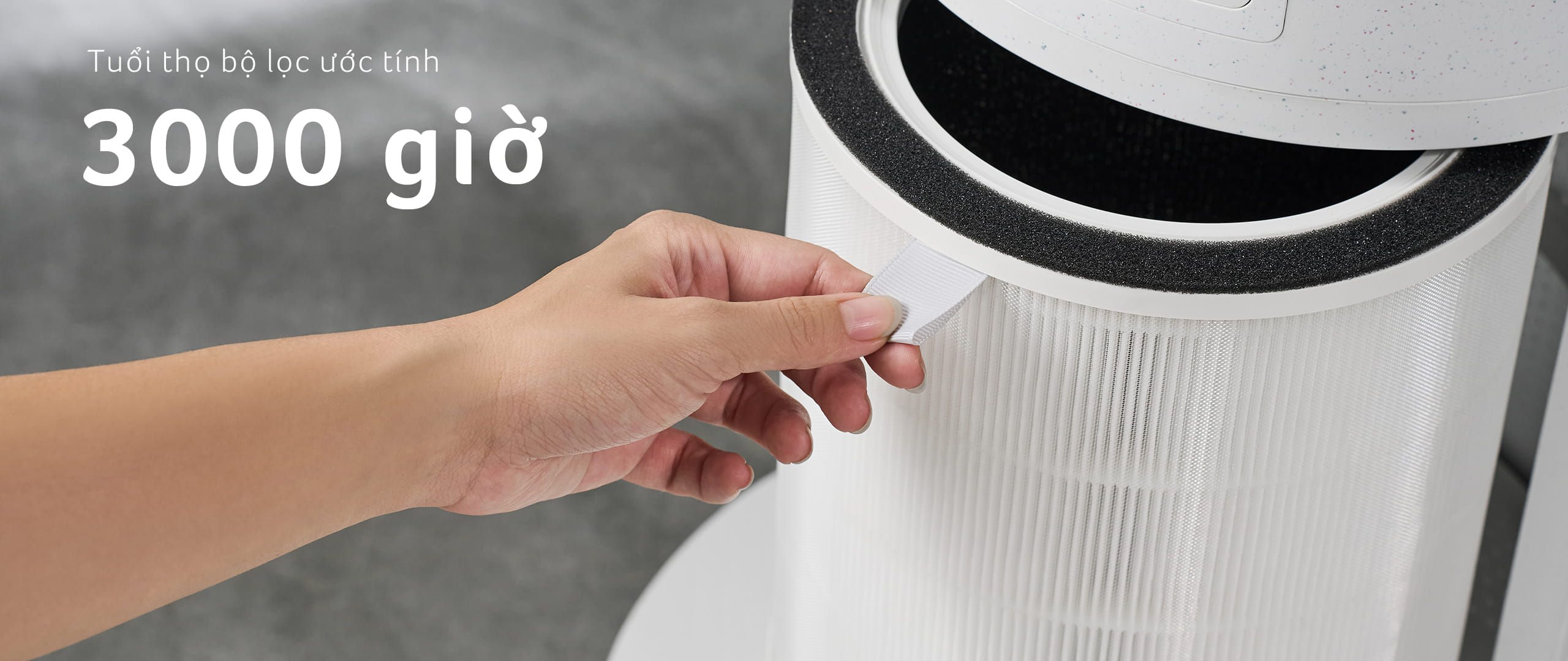 Lõi lọc không khí Acerpure