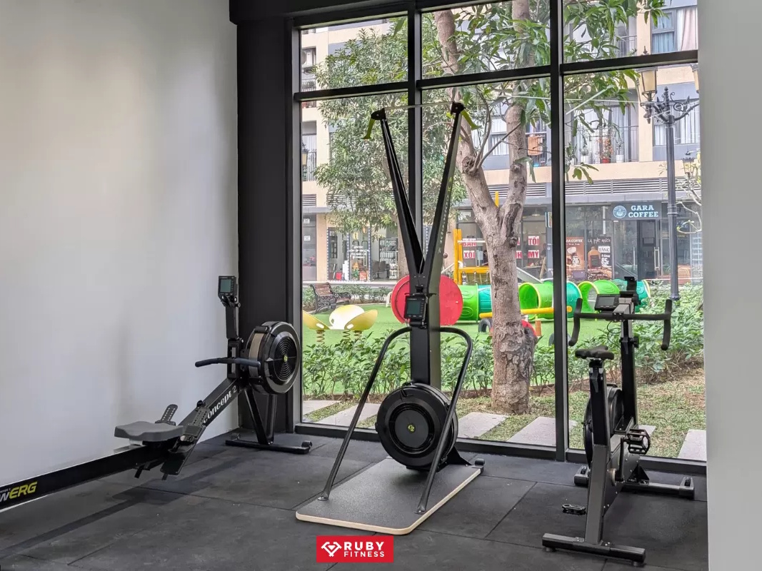 Máy trượt tuyết gắn tường Concept 2 SkiErg 2715