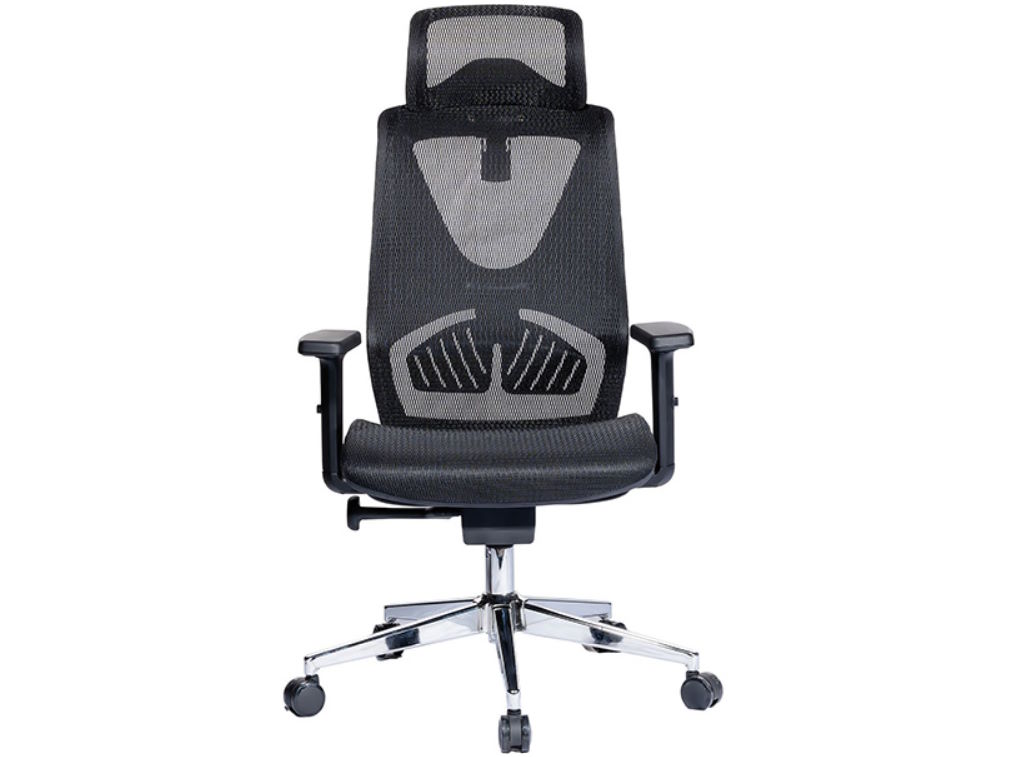 Ghế công thái học The One GLE06