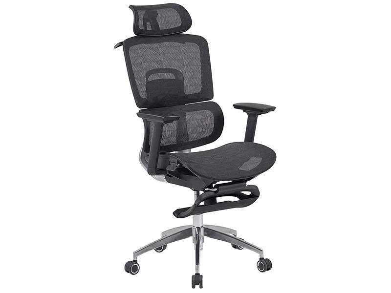 Ghế Ergonomic The One GLE13 Ghế Ergonomic The One GLE13