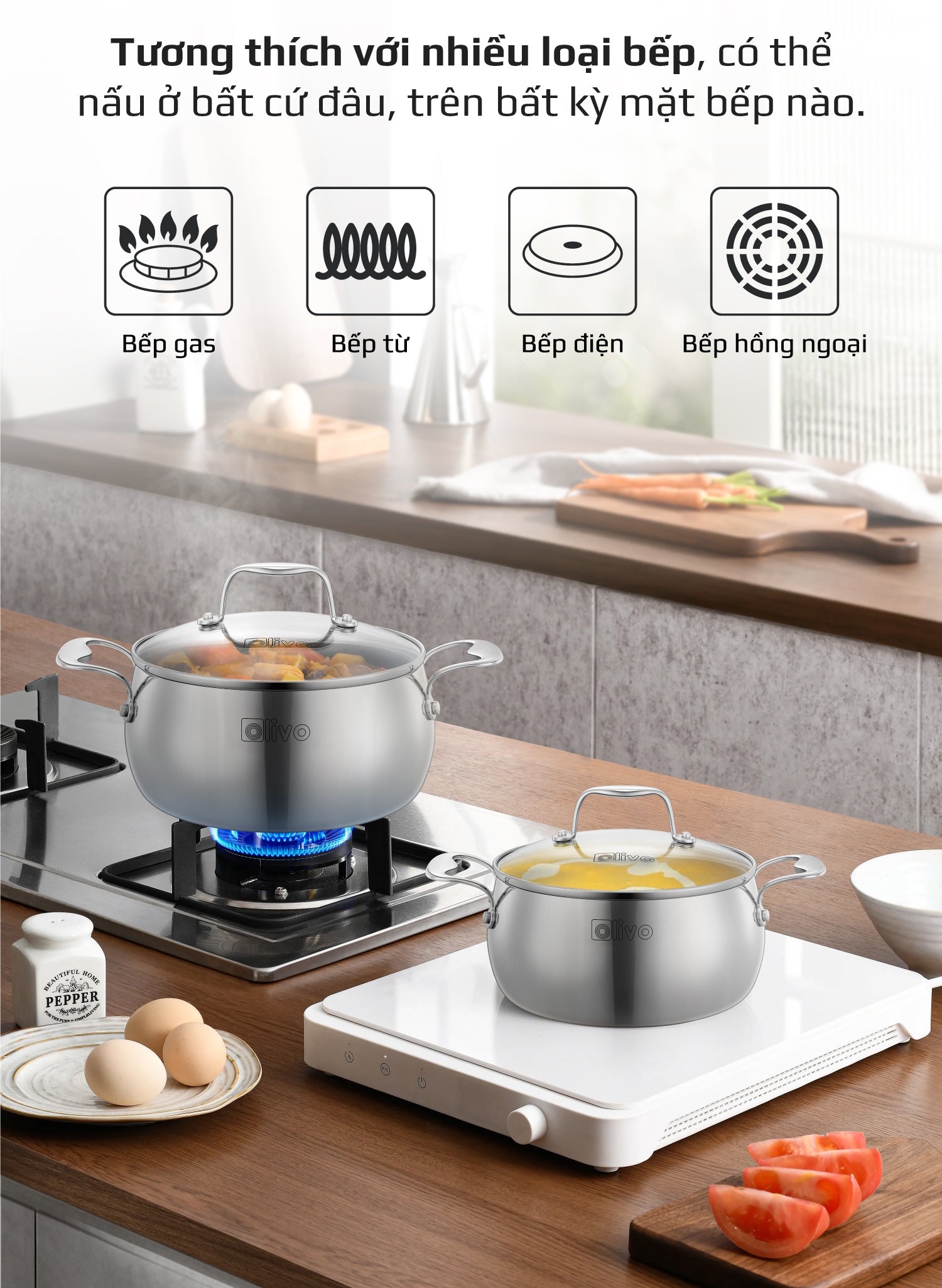 Olivo Steve CS2010 dùng cho mọi loại bếp Olivo Steve CS2010