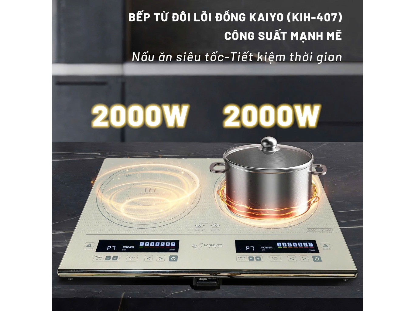 Bếp từ đôi  
